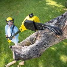 Best Lawn Maintenance Plans  in Flanders, NY