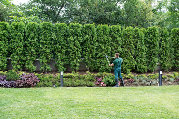  Flanders, NY Tree Removal Pros